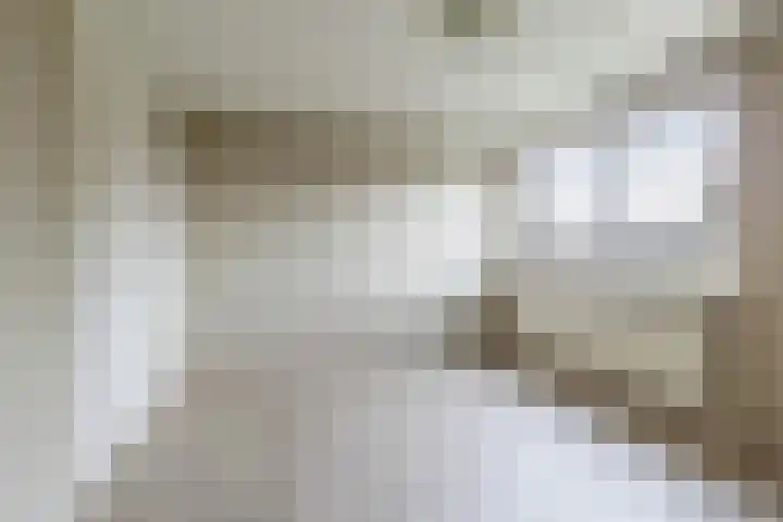 Amerslosestraat 22 Reuver thumbnail 8