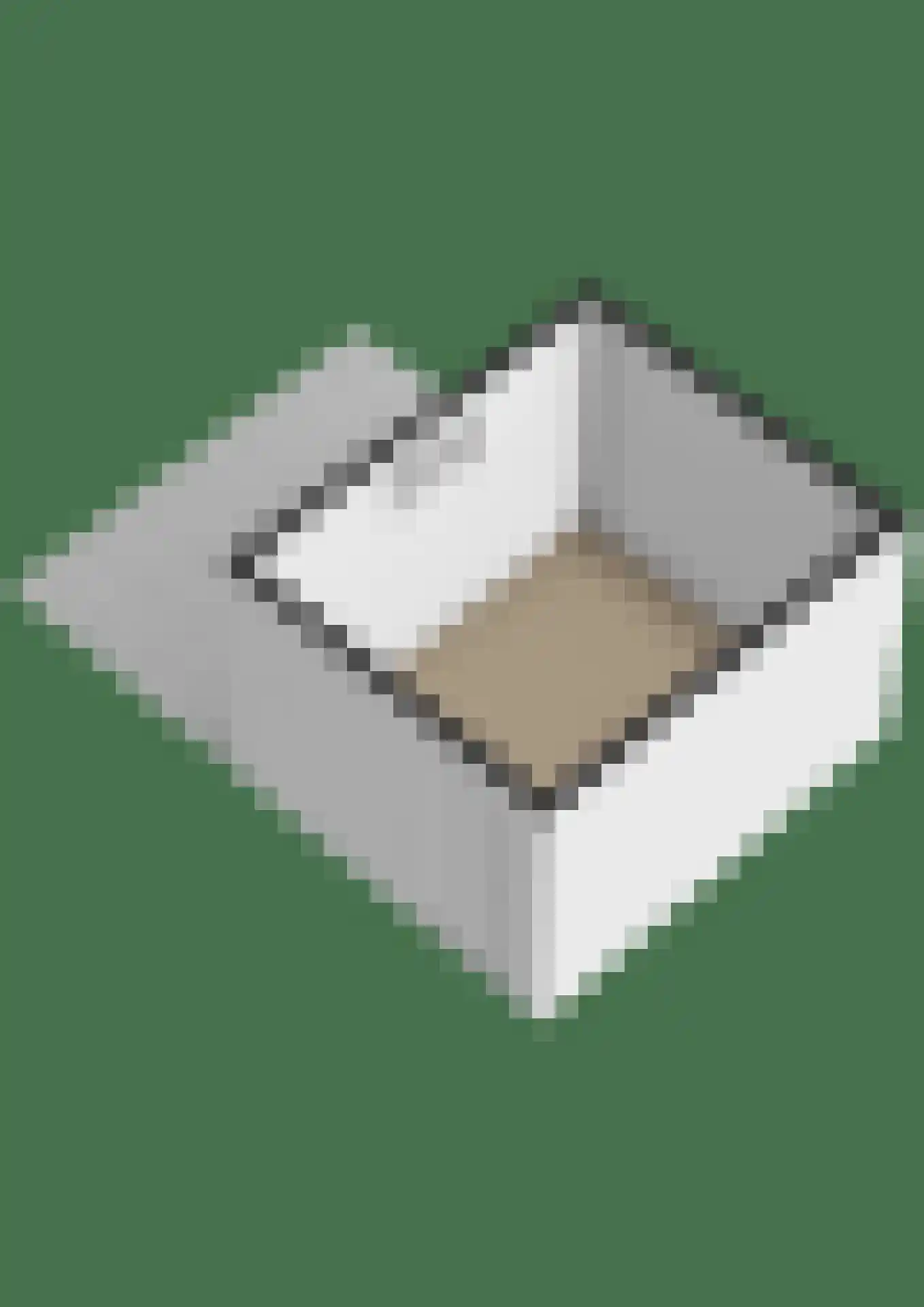 Amerslosestraat 8 Reuver thumbnail 31