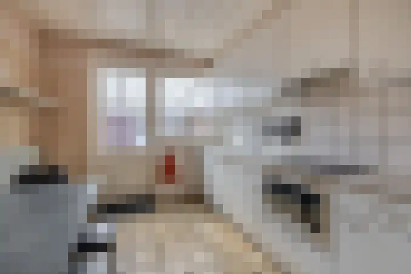 Amerslosestraat 8 Reuver thumbnail 5