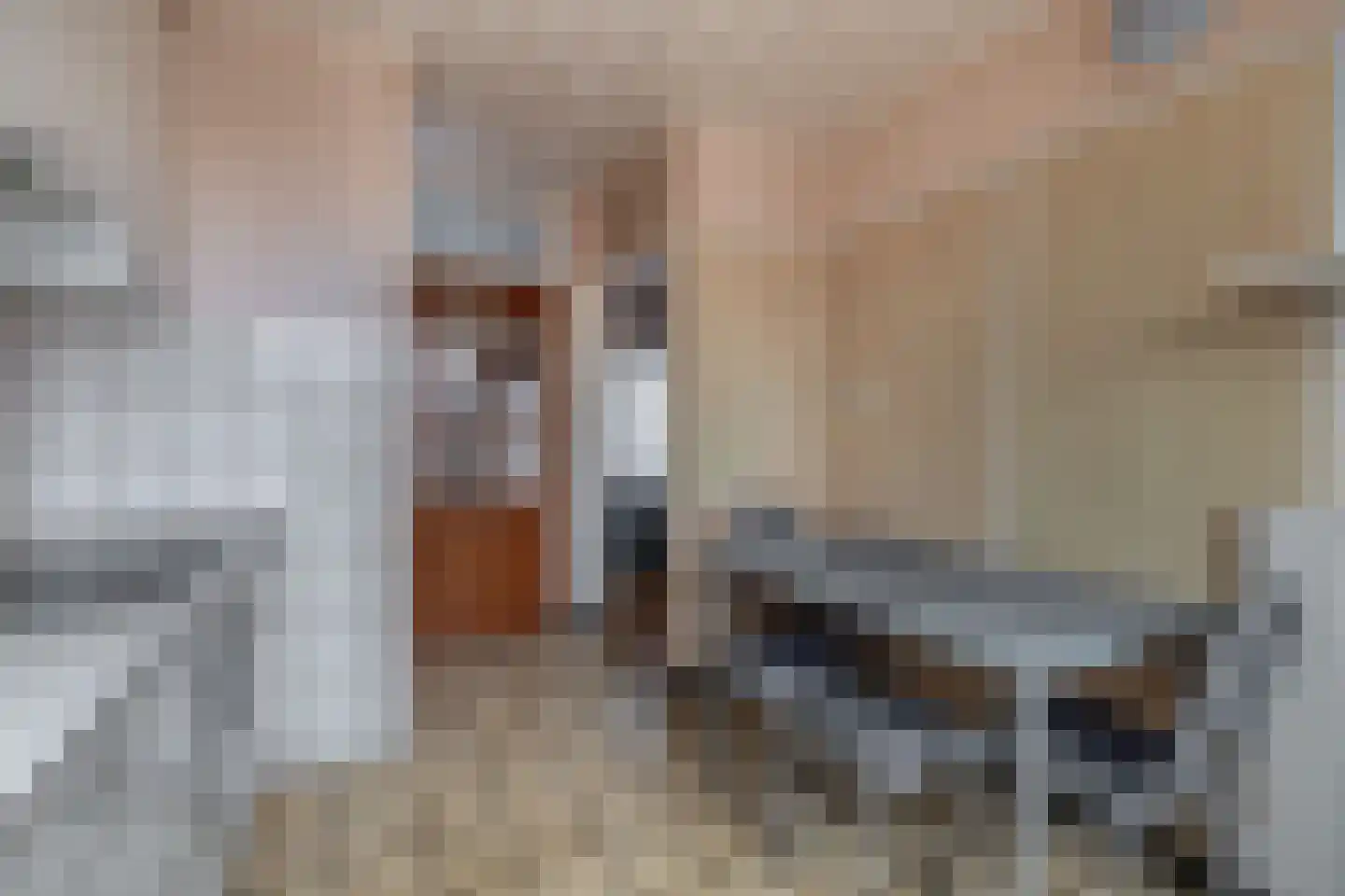 Amerslosestraat 8 Reuver thumbnail 7