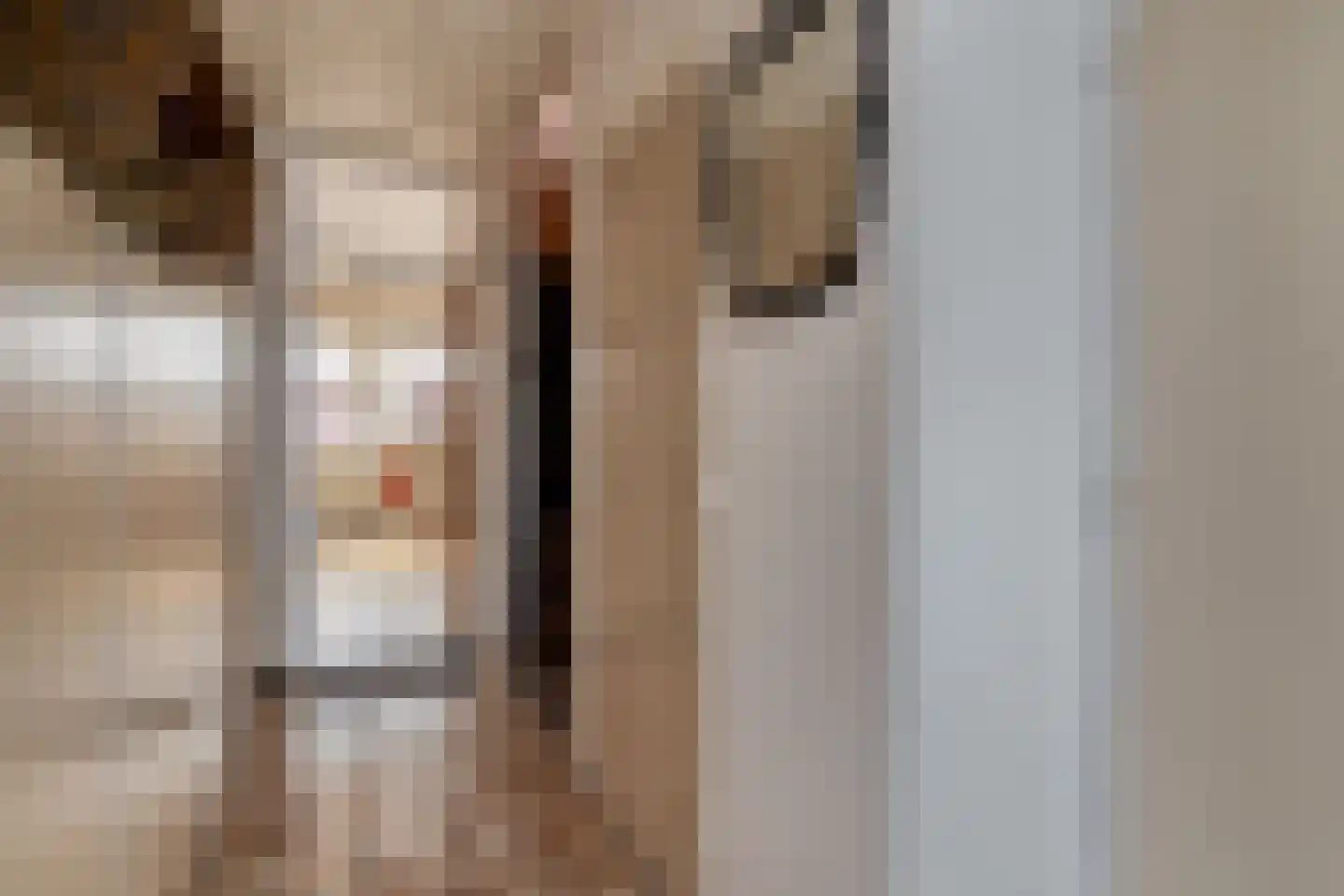 Amerslosestraat 8 Reuver thumbnail 9