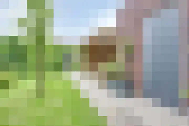 Amerstraat 2 Winterswijk thumbnail 37