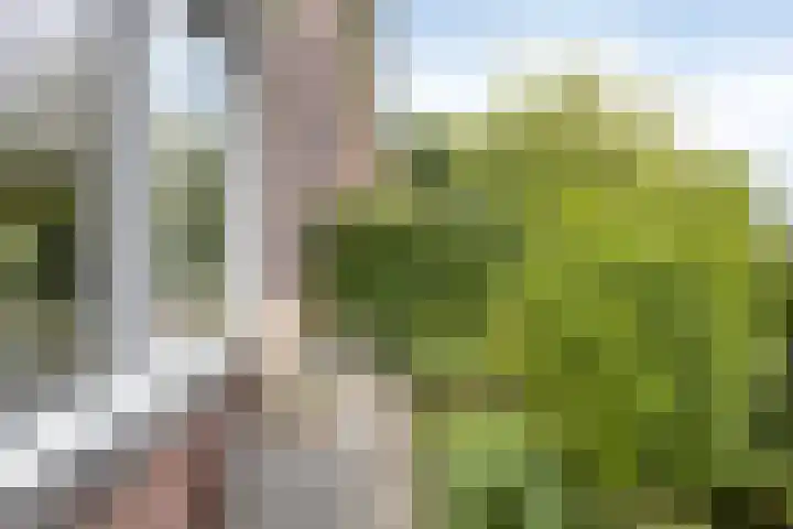 Amerstraat 2 Winterswijk thumbnail 4