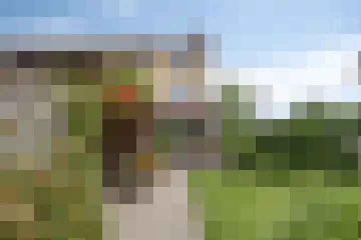 Amerstraat 2 Winterswijk thumbnail 41