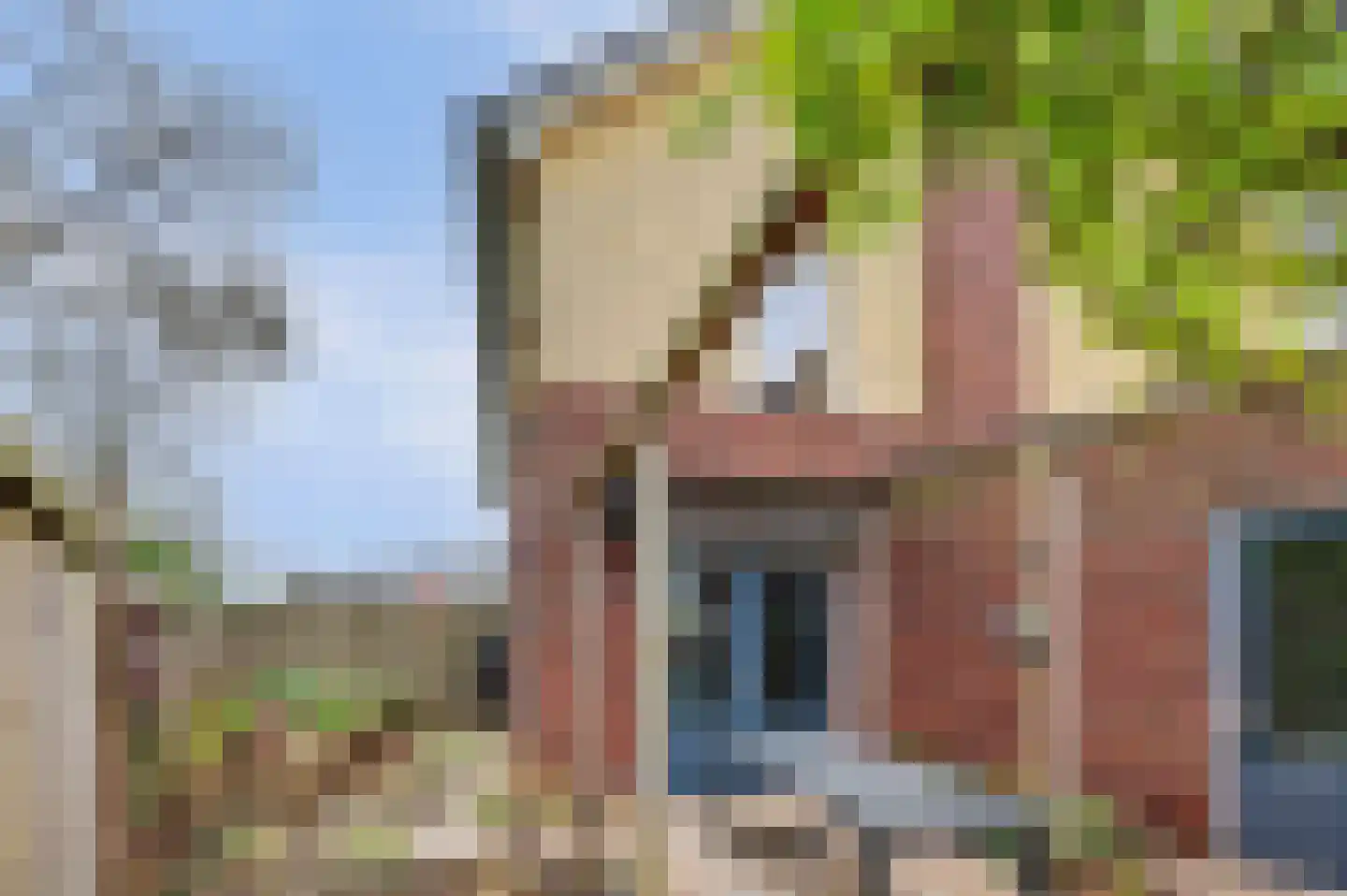Amerstraat 26 Winterswijk thumbnail 37