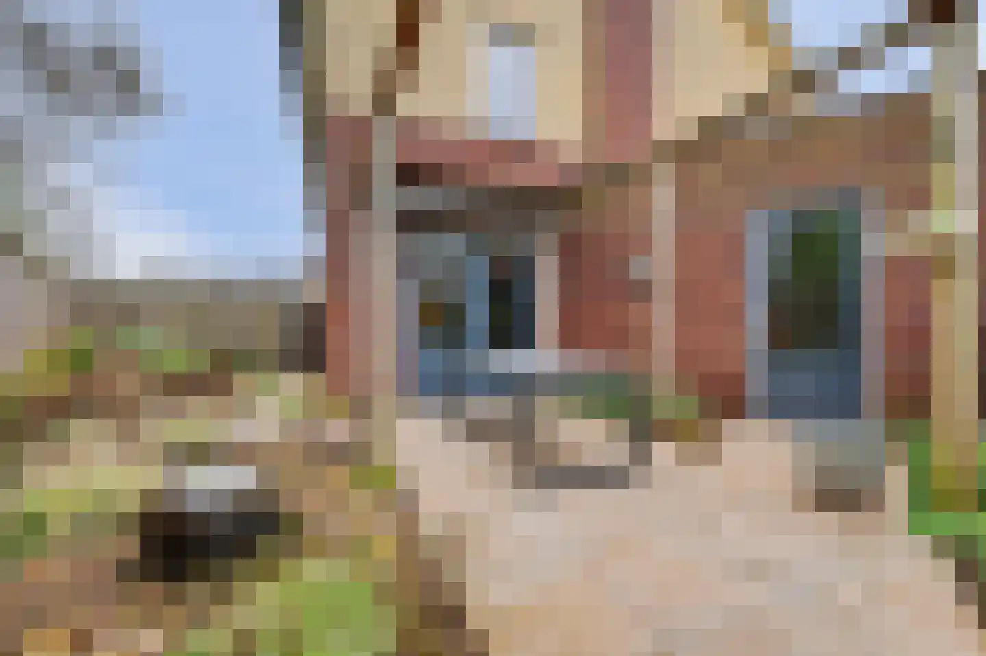 Amerstraat 26 Winterswijk thumbnail 39