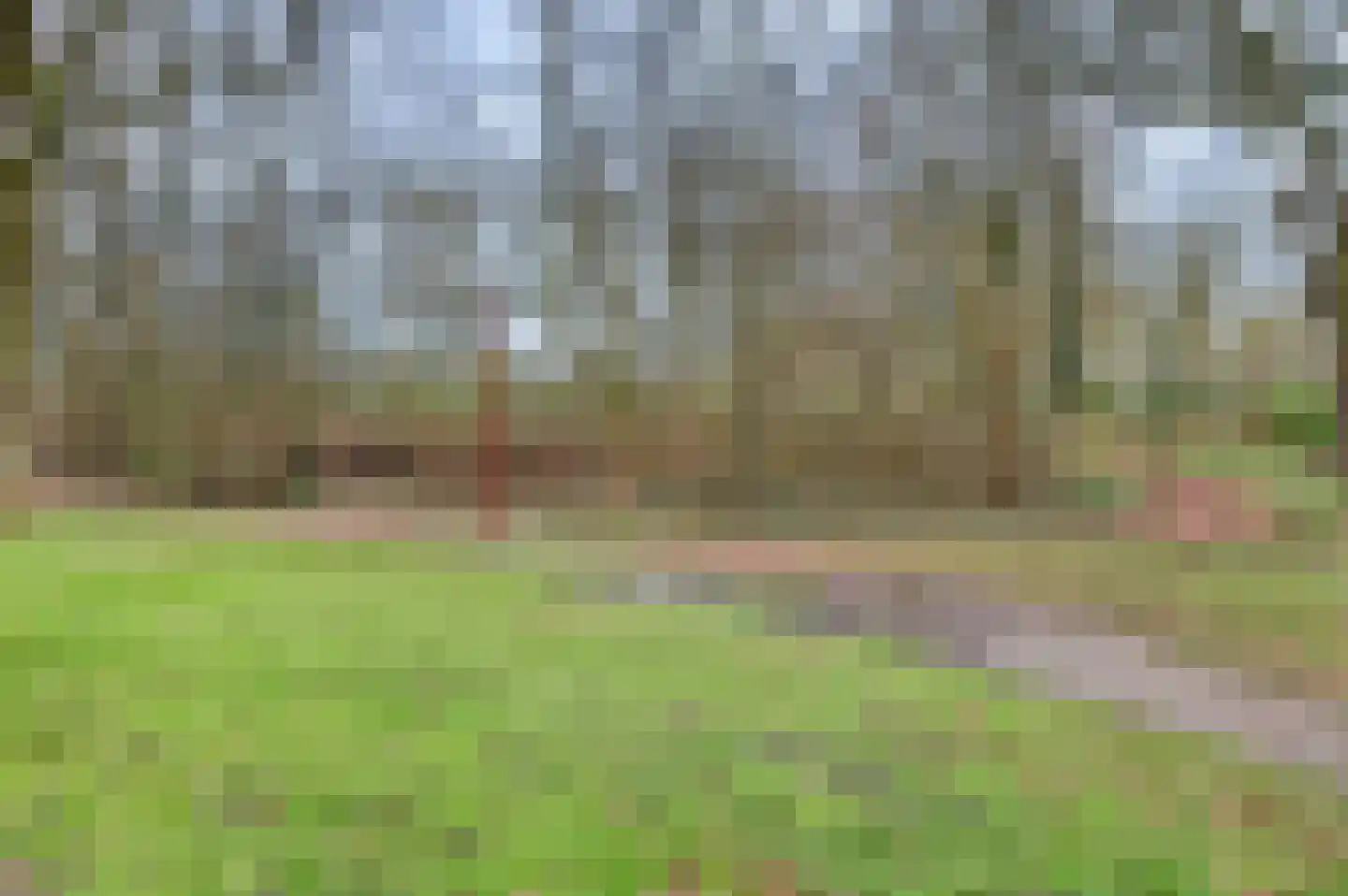 Amerstraat 26 Winterswijk thumbnail 41