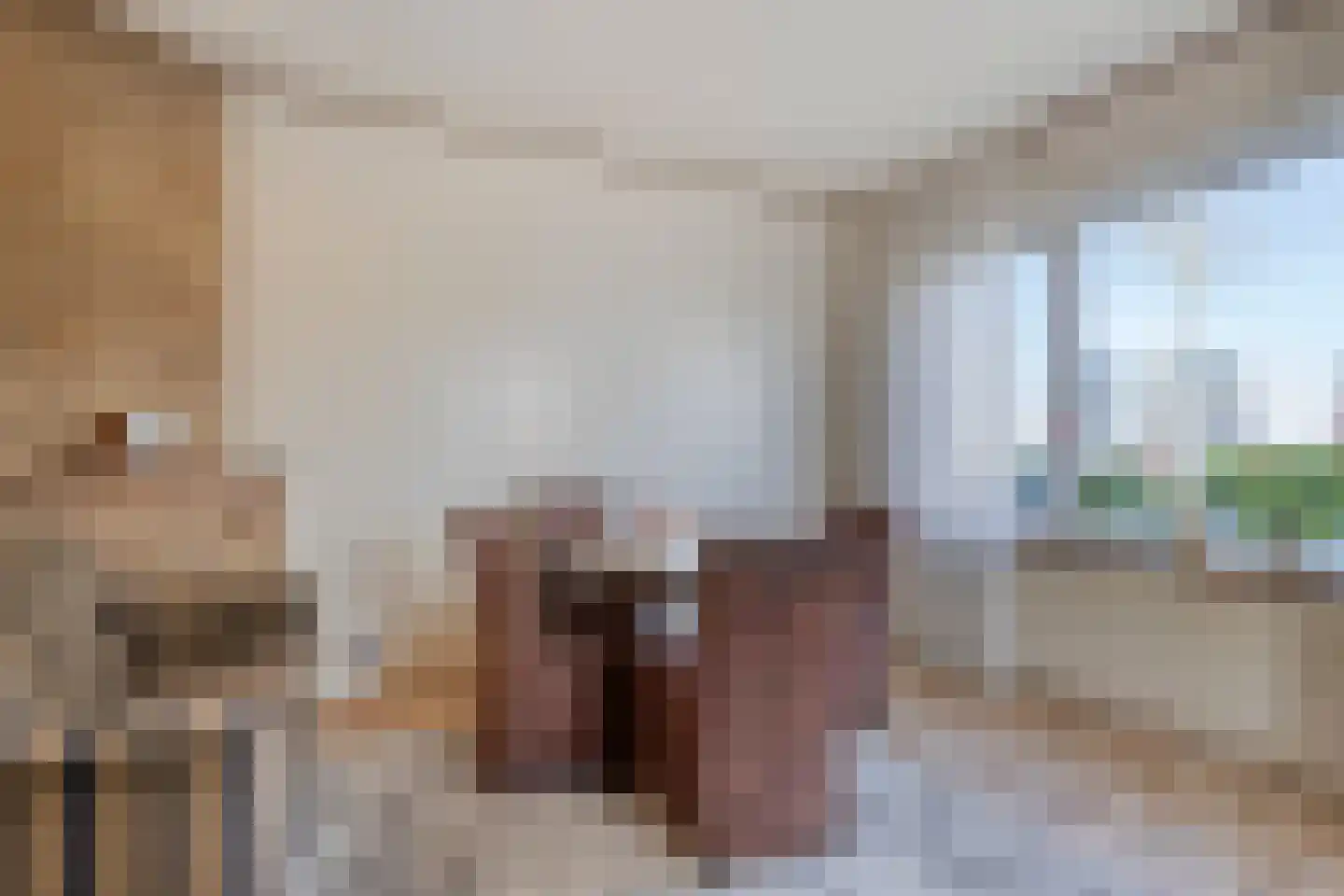 Amerstraat 3 Dordrecht thumbnail 8