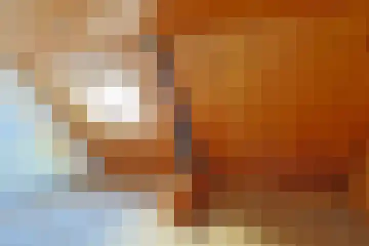 Amerstraat 4 Geleen thumbnail 22