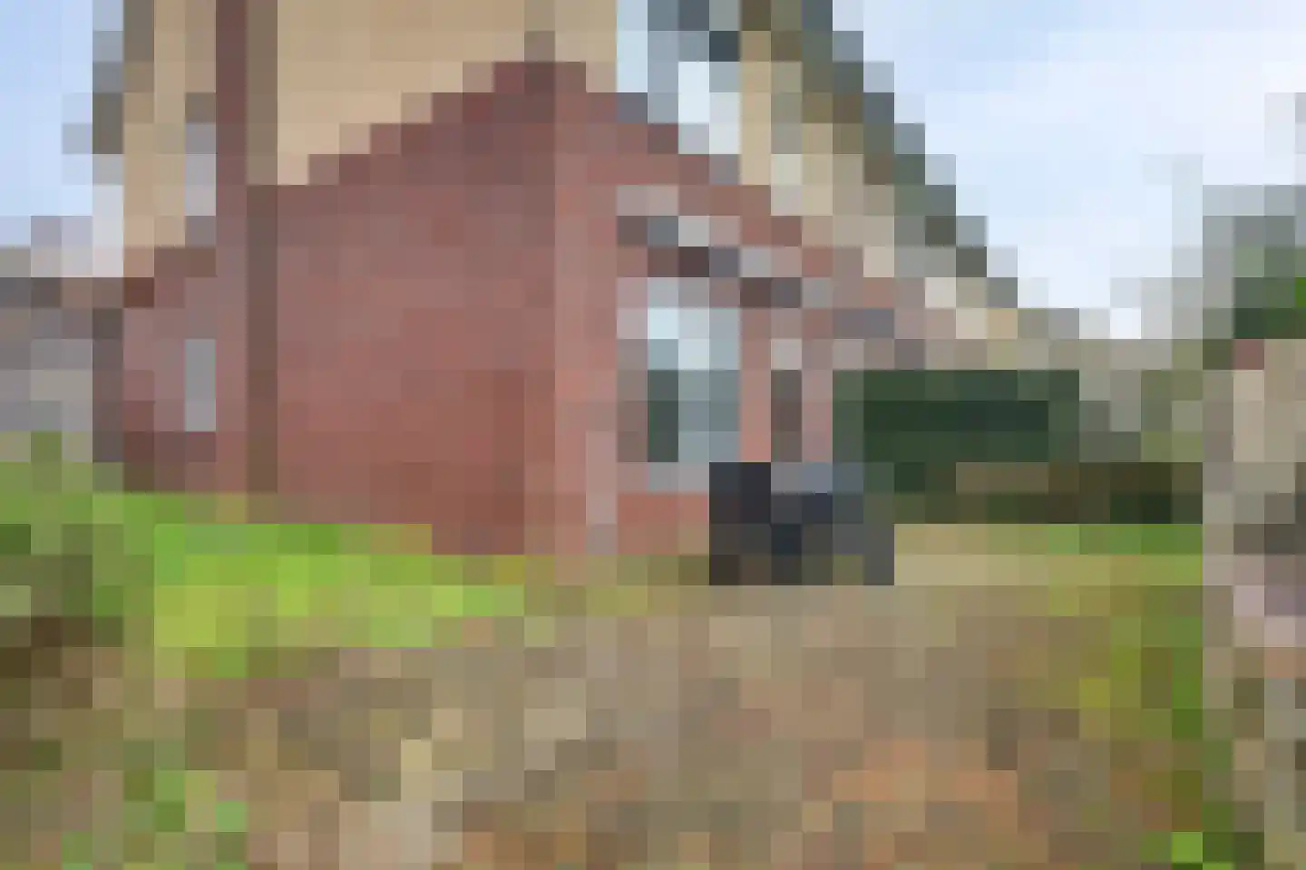 Amerstraat 40 Winterswijk thumbnail 34