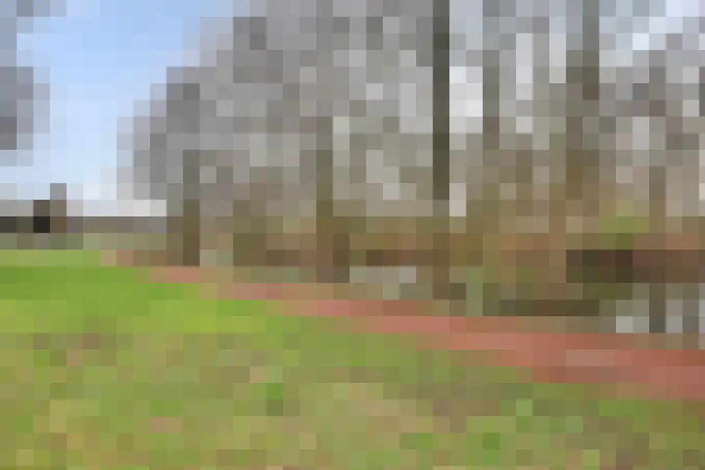 Amerstraat 40 Winterswijk thumbnail 40