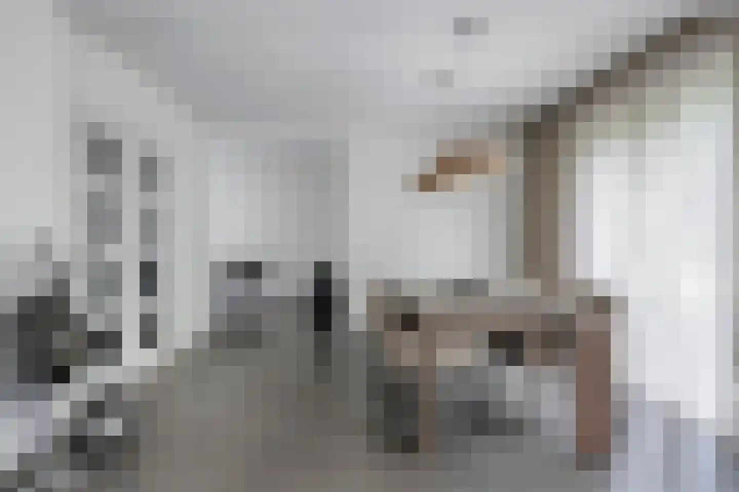 Amerstraat 42 Terneuzen thumbnail 12