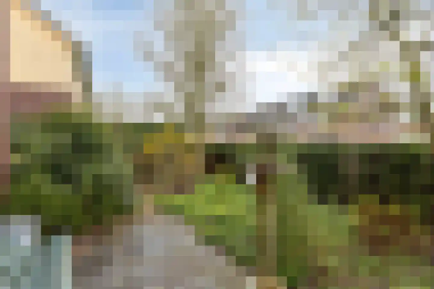 Amerstraat 54 Winterswijk thumbnail 35