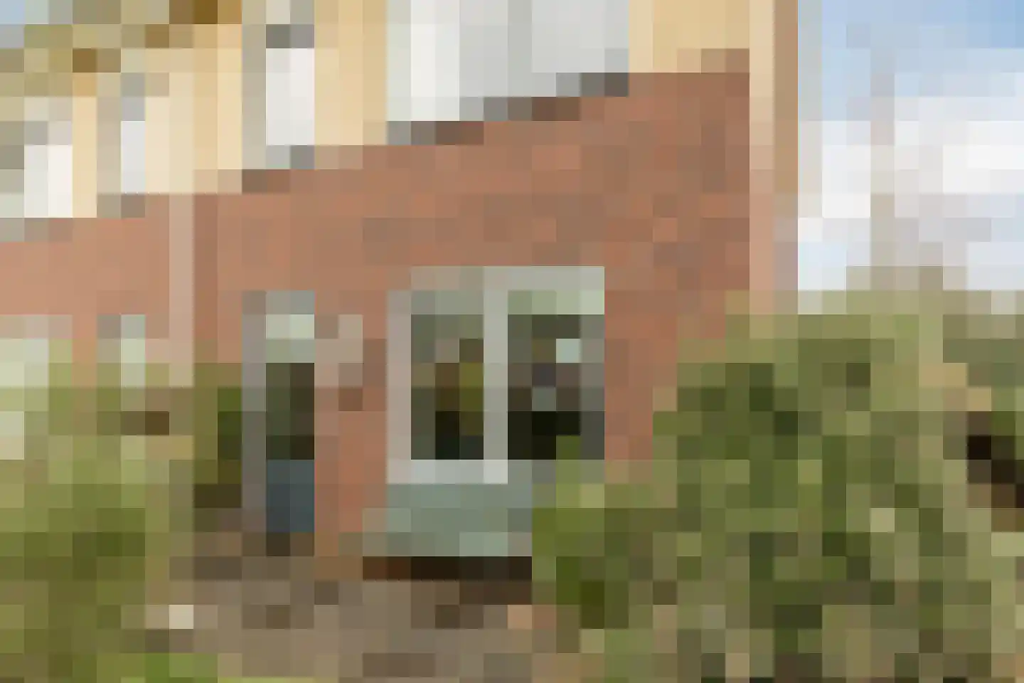 Amerstraat 54 Winterswijk thumbnail 36