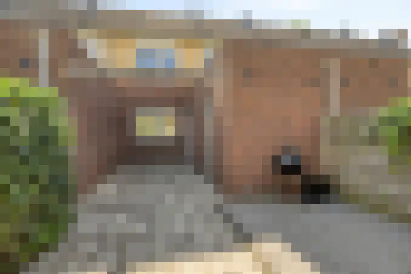 Amerstraat 70 Winterswijk thumbnail 35