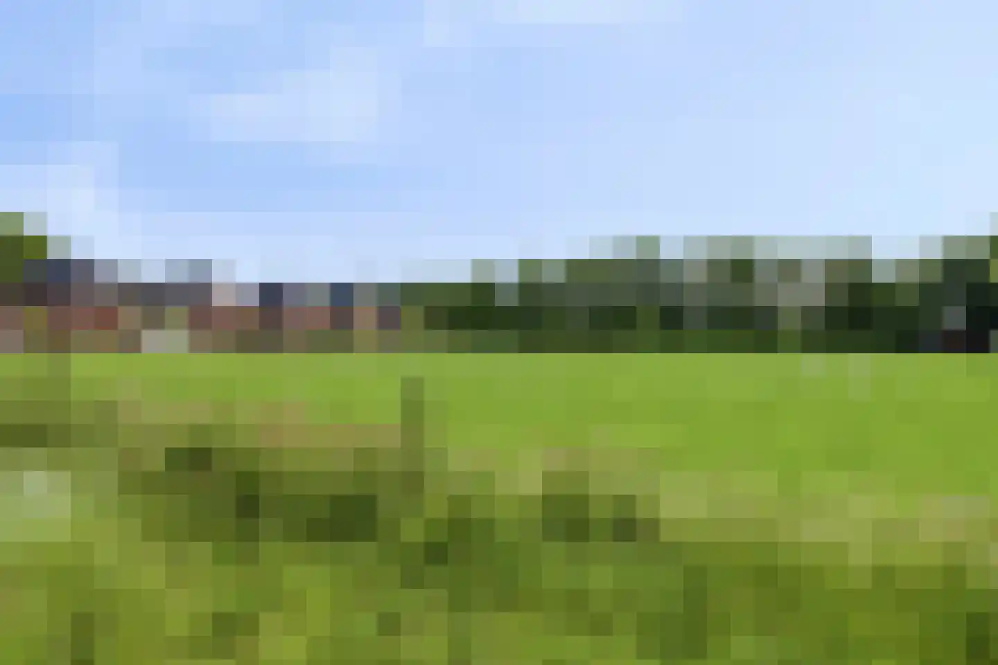 Amerstraat 70 Winterswijk thumbnail 47
