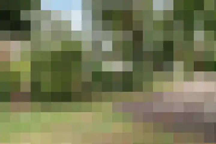 Amerstraat 8 Winterswijk thumbnail 8