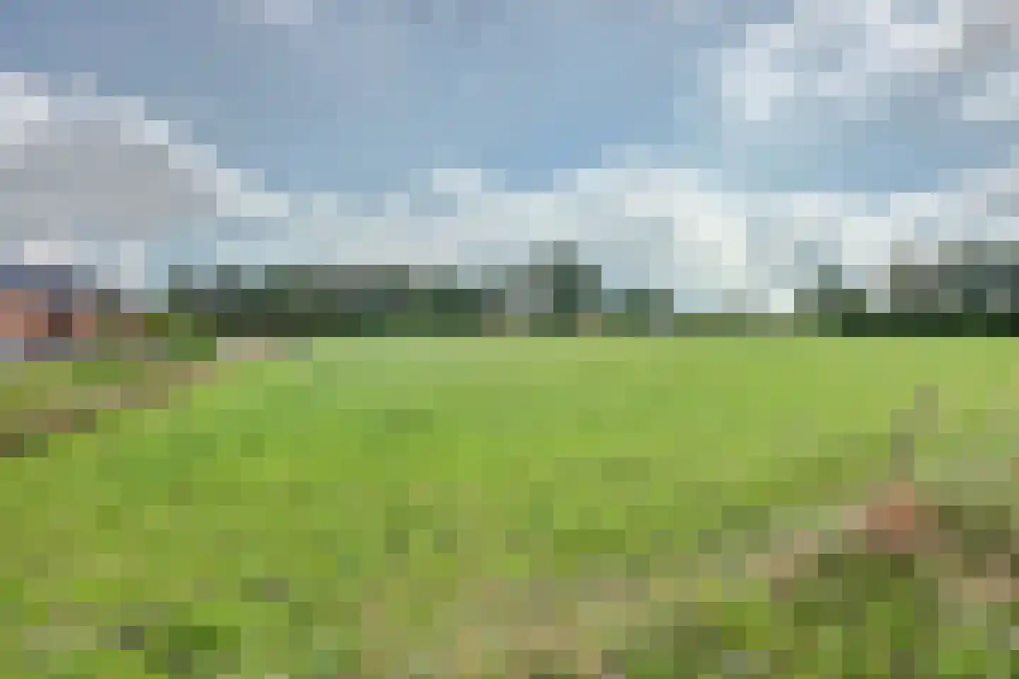 Amerstraat 80 Winterswijk thumbnail 39