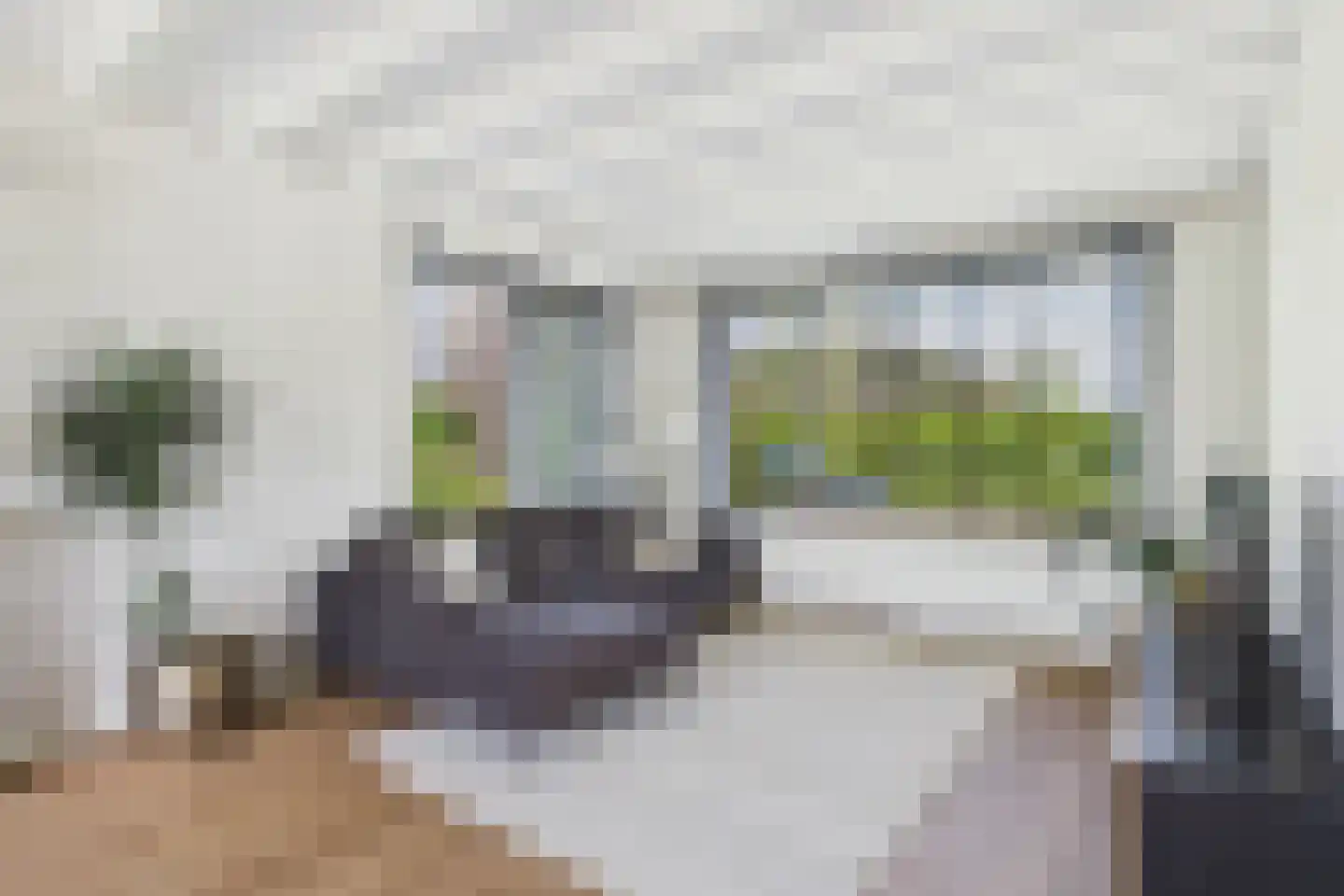 Amerstraat 9 Terneuzen thumbnail 14