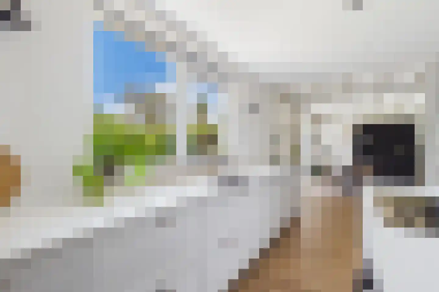 Amerstraat 9 Terneuzen thumbnail 19