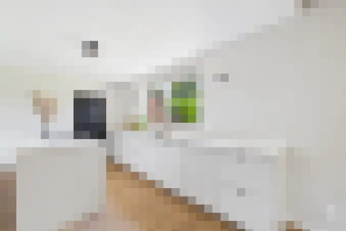 Amerstraat 9 Terneuzen thumbnail 21