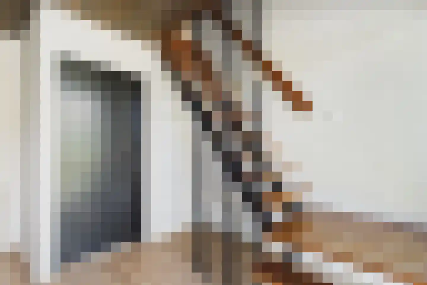 Amerstraat 9 Terneuzen thumbnail 25