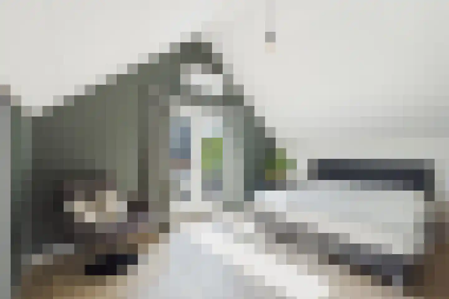 Amerstraat 9 Terneuzen thumbnail 28