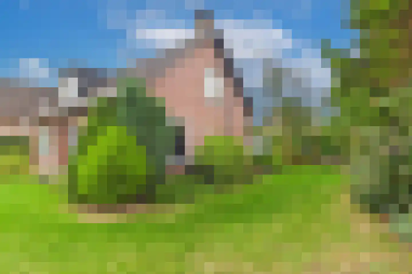 Amerstraat 9 Terneuzen thumbnail 40