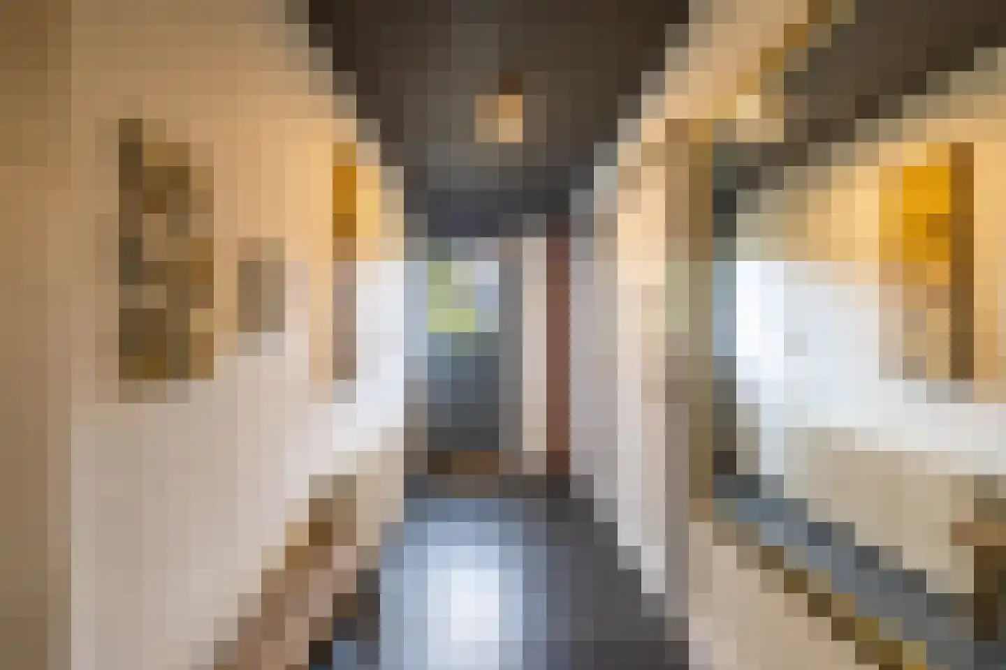 Amerweg 12 Grolloo thumbnail 13