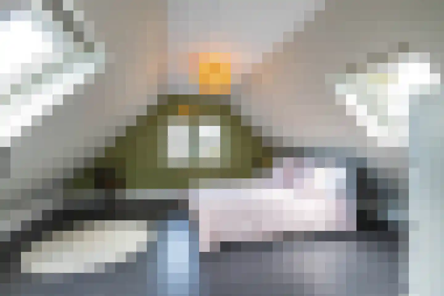Amerweg 12 Grolloo thumbnail 63