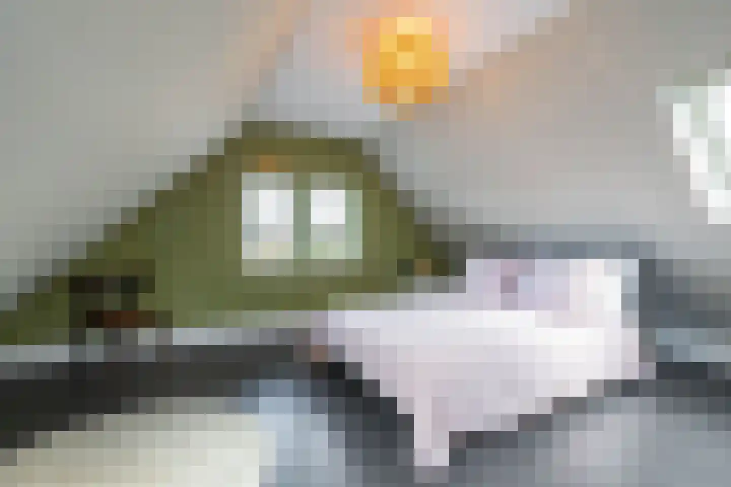 Amerweg 12 Grolloo thumbnail 65