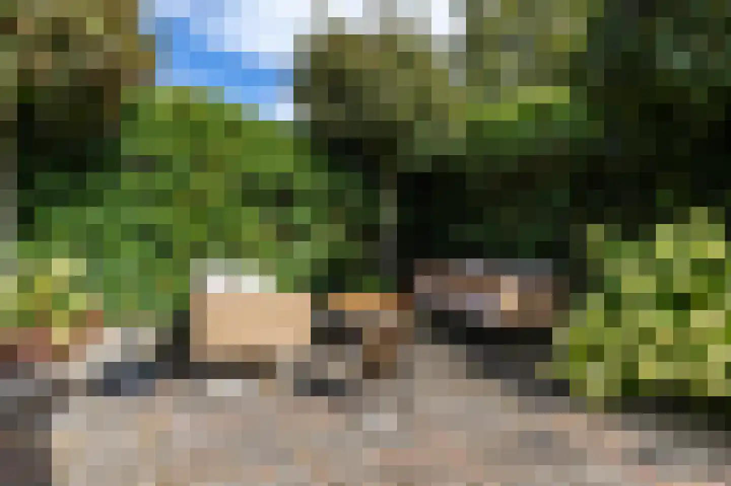 Amerweg 12 Grolloo thumbnail 67