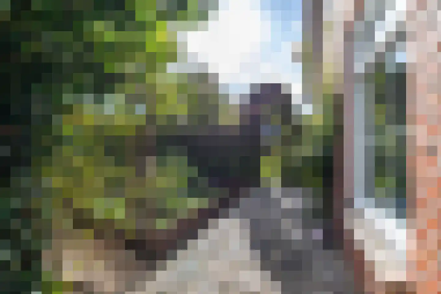 Amerweg 12 Grolloo thumbnail 69
