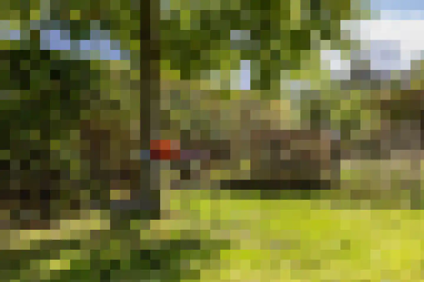 Amerweg 12 Grolloo thumbnail 70