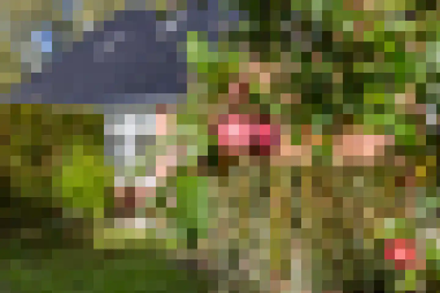 Amerweg 12 Grolloo thumbnail 71