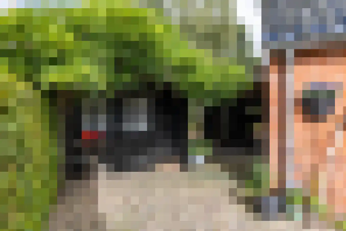 Amerweg 12 Grolloo thumbnail 72