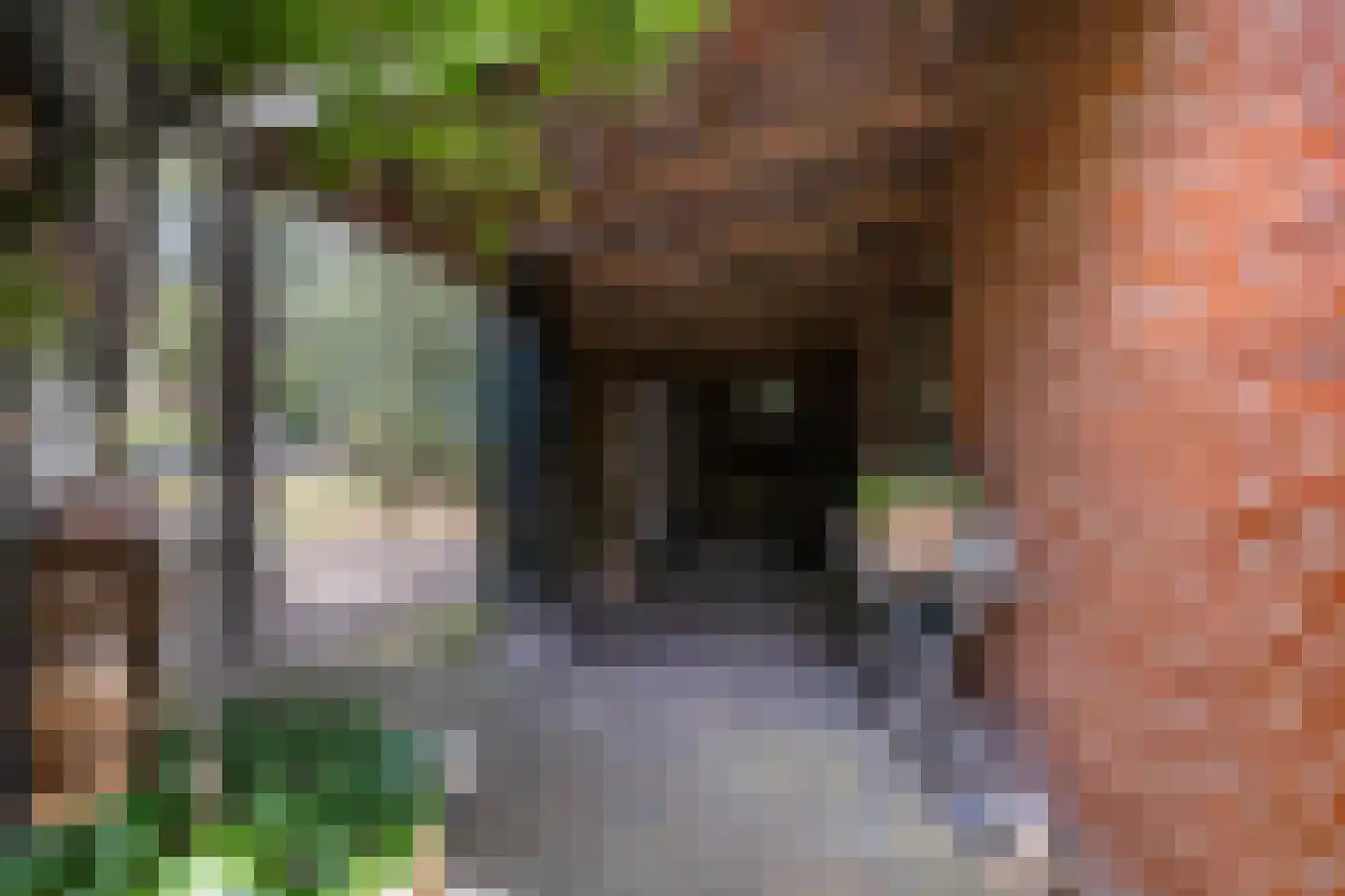 Amerweg 12 Grolloo thumbnail 73