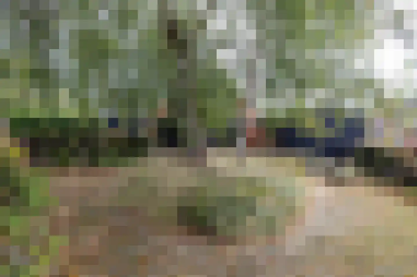 Amerweg 12 Grolloo thumbnail 76