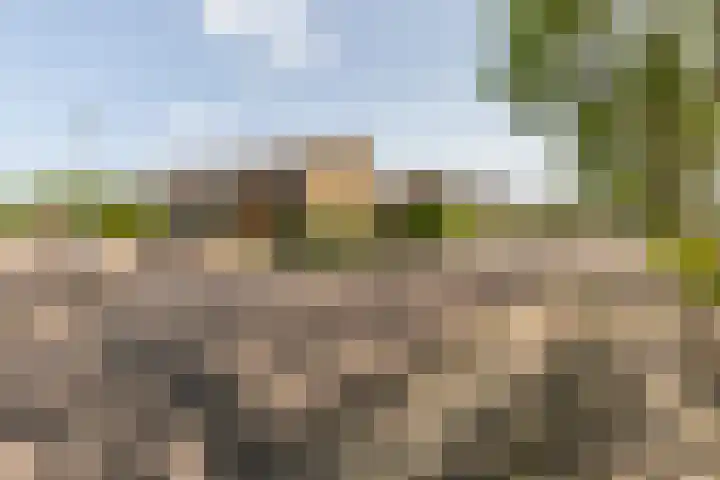 Amestelle 181 Zwanenburg thumbnail 33