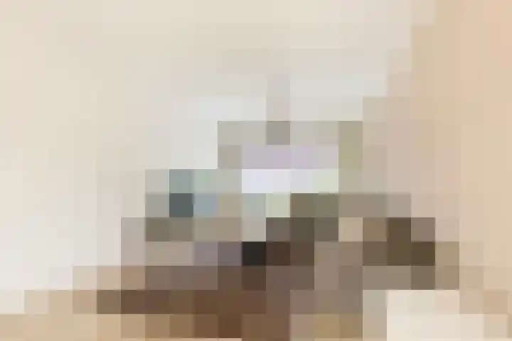 Amestelle 181 Zwanenburg thumbnail 8