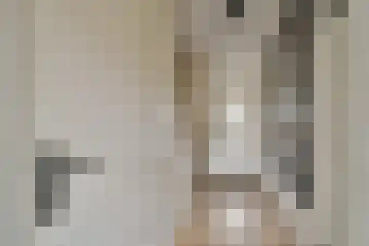 Amestelle 231 Zwanenburg thumbnail 11