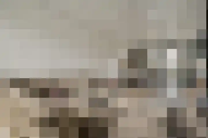 Amestelle 231 Zwanenburg thumbnail 5