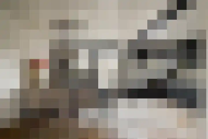 Amestelle 231 Zwanenburg thumbnail 6