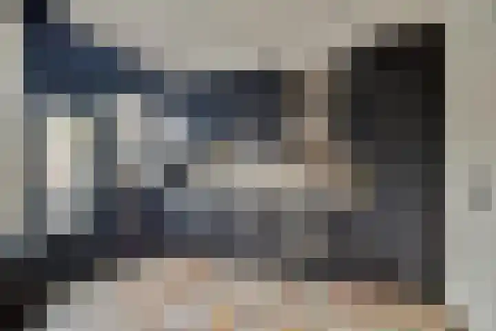 Amestelle 231 Zwanenburg thumbnail 7