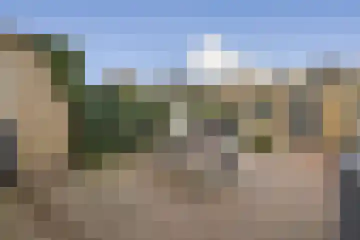 Amestelle 231 Zwanenburg thumbnail 8