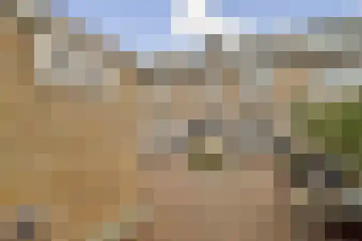 Amestelle 231 Zwanenburg thumbnail 9