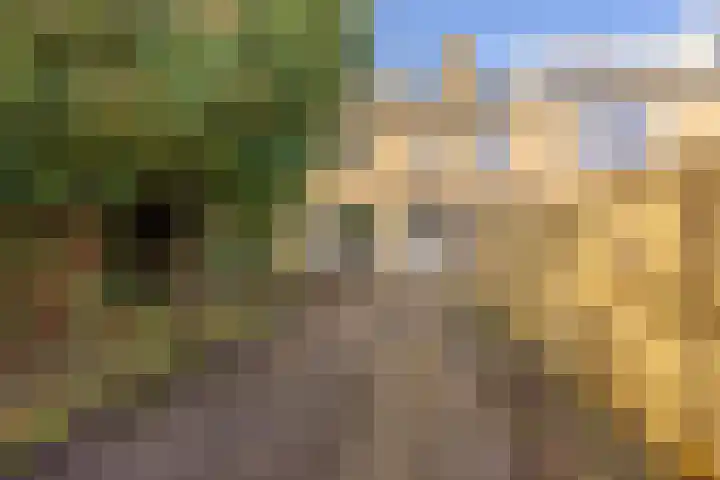 Amestelle 245 Zwanenburg thumbnail 12