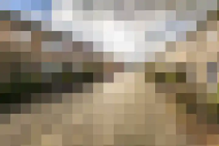 Amestelle 245 Zwanenburg thumbnail 28