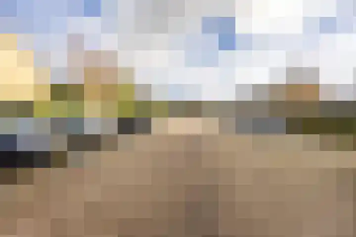 Amestelle 245 Zwanenburg thumbnail 30