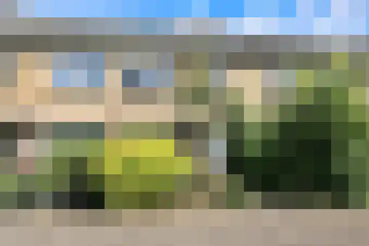 Amestelle 247 Zwanenburg thumbnail 33